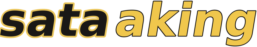 sataaking logo